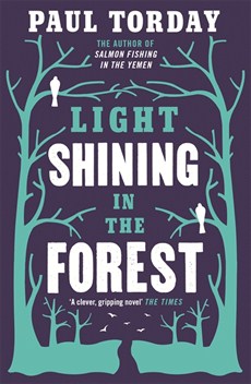 Light shining in the Forest